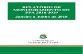 RELATÓRIO DE MONITORAMENTO DO PPA 2016 …...Relatório de Monitoramento do PPA - Período: Jan –Jun 2018 6 1.Execução financeira consolidada (R$) Eixo Lei + Cred Empenhado %