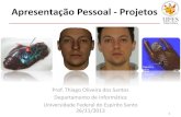 Apresentação Pessoal - Projetos · 2 Experiência Prévia Formação • Engenharia de Computação (UFES, 2004) • Mestrado em Informática (UFES, 2006) –Reconhecimento facial