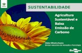 Agricultura Sustentável e Baixa Emissão de Carbono€¦ · Ano 1 Ano 2 Ano 3 Ano 4 Ano 5 Ano 6 A ... 2016 Lançamento do Plano ABC milhões ha ilhões CO 2 eq 3,6 6,0 ICLF new-added