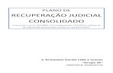 PLANO DE RECUPERAÇÃO JUDICIAL CONSOLIDADOargumentoassessoria.com/wp-content/uploads/2018/06/... · PLANO DE RECUPERAÇÃO JUDICIAL CONSOLIDADO Consoante a Lei 11.101/2005, Lei Complementar