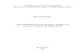 UNIVERSIDADE VEIGA DE ALMEIDA MESTRADO EM …livros01.livrosgratis.com.br/cp121854.pdf · Trióxido Mineral na Endodontia, abordando aspectos sobre a sua apresentação, composição,
