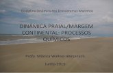 DINÂMICA PRAIAL: PROCESSOS QUÍMICOSnetto.ufpel.edu.br/lib/exe/fetch.php?media=dem:... · O sistema praia An idealised cross-section of a wave-dominated beach system consisting of