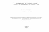 UNIVERSIDADE DE SÃO PAULO - USP ESCOLA DE ENGENHARIA DE …livros01.livrosgratis.com.br/cp142645.pdf · Obtenção e caracterização de supercondutores de Bi2212 texturizados com