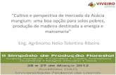 “Cultivo e perspectiva de mercado da Acácia mangium: uma ...ciflorestas.com.br/arquivos/d_p_p_6268.pdf · madeira (SCHNEIDER, 1999), porém, se realizada de forma inadequada, pode