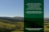 OPORTUNIDADES PARA RESTAURAÇÃO DE PAISAGENS E … · 2020. 4. 14. · Oportunidades para Restauração de Paisagens e Florestas na porção paulista do Vale do Paraíba: Plano de
