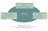 Objetivo estratégico CCST€¦ · Objetivo estratégico CCST •Formulação de cenários para um desenvolvimento nacional sustentável, com base em redes de monitoramento de dados
