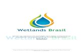 GRUPO DE ESTUDOS EM SISTEMAS WETLANDS ...°1-Wetlands...Wetlands Brasil, durante a 1ª reunião realizada em Porto Alegre - RS. De lá para cá, avançou-se consideravelmente nas ações