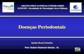 Doenças Periodontais - Doenças Periodontais.… · Doenças Periodontais - O biofilme bacteriano dental compreende, em essência, o fator decisivo na prevenção e no tratamento