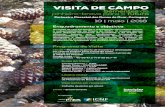 VISITA DE CAMPO - Centro PINUS...VISITA DE CAMPO Sementes de pinheiro-bravo para o futuro 10 | maio | 2018 Enquadramento e objetivos Perímetro Florestal das Dunas de Ovar, Cortegaça
