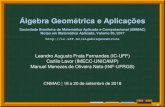 Álgebra Geométrica e Aplicações - 8pt Sociedade Brasileira ...algebrageometrica/extra/slides.pdf · Geometria de Números Complexos Álgebra Geometria 1.Introdução 3/106. ÁlgebraLinear