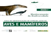 GUIA DE IDENTIFICAÇÃO DE ESPÉCIES ALVO DE AVES E … · 2 3 Apresentação 1 2 3 4 5 6 7 O Programa de Monitoramento da Biodiversidade em UCs realizado em ambientes florestais