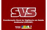 Coordenação Geral de Vigilância em Saúde Ambiental (CGVAM) · dos riscos decorrentes dos desastres naturais, com ênfase naquelas que exija simultaneidade em mais de um município;