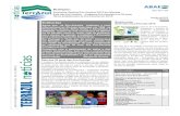 Destaques: Ano 15 nº 25 Seminário Nacional Eco-Escolas ... · ANO 15 Nº 25 Página 3 Projetos Eco-Escolas para o ano letivo 2014/15 Póster Eco-Código Objetivos: estimular a participação
