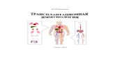 МИНИСТЕРСТВО ЗДРАВООХРАНЕНИЯ РОССИЙСКОЙ ...tvgmu.ru/upload/iblock/f87/transplantimmunol.pdf · 2018. 10. 1. · HLA (от англ. human leukocyte