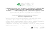 vulgaris L.) e grão-de-bico (Cicer arietinum L.) em Portugal · 2017. 12. 13. · Estudo preliminar dos benefícios económicos e ambientais da expansão da produção e área de