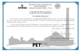 CURSO EXCEL - UFRGS...“CURSO EXCEL” Certificamos, para os devidos fins, que Álvaro Navas Gil participou do “Curso de Excel”, ocorrido nos dias 31 de maio, 07 e 08 de junho