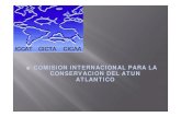 COMISION INTERNACIONAL PARA LA CONSERVACION DEL ATUN … · 2010. 6. 23. · Comisión Internacional para la conservación del atún atlántico: Convenio firmado en Río de Janeiro,