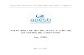 Relat rio de Actividades CD-APESB 2010 Finalapesb.org/perch/resources/pdfs/88067relatrio-de... · 2014. 9. 11. · sistemas de informação, de qualidade do serviço, desempenho e