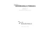 REVISTA BRASILEIRA DESEGURANÇA PÚBLICAforumseguranca.org.br/storage/revista_14.pdf2014/06/02  · 3 Sumário Gestão de políticas de segurança pública no Brasil: problemas, impasses