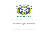 CONFEDERAÇÃO BRASILEIRA DE FUTEBOL …quaisquer dos serviços previstos neste Regulamento; V. a vedação à utilização ou contratação, por jogadores, técnicos de futebol e/ou