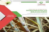 MERCADO DE TRABALHO DO AGRONEGÓCIO BRASILEIRO · 2019. 6. 14. · do Cepea1, 3,2% do total de pessoas ocu-padas no agronegócio em 2017 estavam nas atividades da cadeia sucroenergética