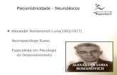 Alexander Romanovich Luria(1902/1977) Neuropsicólogo Russo … 4... · 2019. 6. 3. · Psicomotricidade - Neuroblocos Unidades Funcionais Cerebrais- “Luria” 1º Neurobloco Regula