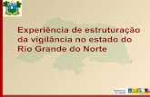Experiência de estruturação da vigilância no estado do Rio ...svs.aids.gov.br/dantps/cgiae/vigilancia-do-obito/documentacao/... · Rio Grande do Norte, 2008-2010* Fonte: SIM.SINASC/CPS/SESAP-RN.