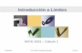 Introducción a Límitemyfaculty.metro.inter.edu/jahumada/mate3031/unidad1/1_2 Introduc… · 14/01/2016 Prof. José G. Rodríguez Ahumada 1 de 18-31 Actividades 1.2 • Referencia