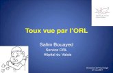 Hôpital du Valais - Toux vue par l’ORL · 2017. 4. 28. · 2-Morice A, Faruqi S, Wright C, Thompson R, Bland J: Cough hypersensitivity syndrome: a distinct clinical entity. Lung.