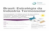 Brasil: Estratégia da Indústria Termossolar...O FINAL DE 2012 >736 SISTEMAS SHIP ATÉ O FINAL DE 2018 A demanda de calor industrial baseado em combustíveis fósseis cresceu 33%,