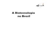 A Biotecnologia no Brasil§ao_a...biotecnologia é o espaço para novos empreendedores. * Em Minas Gerais, que concentra 25% das empresas da área do país, o setor cresceu 33% entre