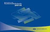 Relatório de Sustentabilidade 2010 - SINOBRAS€¦ · (ALPA) e do Projeto Aline. Investimento Colaboradores Mercado atendido Segmento Produtos Capacidade de Produção U$ 400 milhões