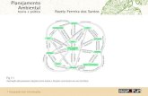 Planejamento Ambiental teoria e prática Rozely Ferreira dos Santos · 2018. 1. 29. · teoria e prática Rozely Ferreira dos Santos Fig 7.15 Exemplo de construção de dendrograma.