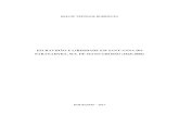 ESCRAVIDÃO E LIBERDADE EM SANT’ANNA DO · ESCRAVIDÃO E LIBERDADE EM SANT’ANNA DO PARANAHYBA, SUL DE MATO GROSSO (1828-1888) Dissertação apresentada ao Programa de Pós-Graduação