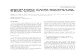 Moldes para puñales en la Península Ibérica durante la ...many, Girona) (Palomo 2006) y los leridanos de Minferri (Juneda) (Equip Minferri 1997) o la Vin - ya del Corb (Basella)