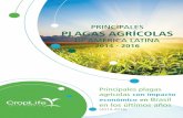 PRINCIPALES PLAGAS AGRICOLAS BRASIL 2014-2016 curvas 2017. 2. 21.¢  Title: PRINCIPALES PLAGAS AGRICOLAS