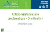 Antibiorésistance: une problématique « One Health · 2017. 7. 10. · Déclaration de liens d’intérêt avec les industries de santé en rapport avec le thème de la présentation