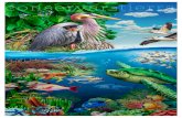 conservar tierratierra - USEmbassy.gov · 2017. 8. 14. · 2015 Las áreas marinas protegidas son refugios seguros para peces, ballenas, delfines, corales, tortugas de mar y miles
