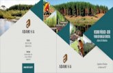 planodemanejo2018 - Home - Adami S/A€¦ · Manejo Florestal Objetivo do manejo florestal da Adami S/A Espécie Sustentabilidade ... Nesse contexto, na sequência säo sumarizadas