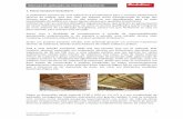Manual de aplicação de Painel Ondutherm · 2019. 12. 19. · 4 Onduline, Materiais de Construção, SA Manual de aplicação de Painel Ondutherm Madeira: Parafuso standard para