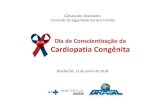 Dia de Conscientização da Cardiopatia Congênita · 2019. 8. 7. · Cardiopatias Congênitas Dia de Conscientização da Cardiopatia Congênita Diagnóstico 2016/2017: 35 serviços