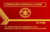 OPERA£â€£’O PANTANAL II/2020 ... 1 .ooo Jan Comparativo mensal do bioma: Pantanal Nov Dez Mar Abr Mai