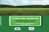 CANA-DE-AÇÚCAR€¦ · subsidiar os produtores sobre a forma como está organizado o setor sucroalcooleiro. Feita em forma de perguntas e respostas, fruto do trabalho de coleta