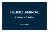 REINO ANIMAL€¦ · Title: REINO ANIMAL Author: usuario Created Date: 7/4/2008 11:35:40 AM