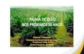 PALMA DE ÓLEO NOS PRÓXIMOS 10 ANOSPRODUÇÃO MUNDIAL –ÓLEO DE PALMA PALM OIL : World Production (1000T) Descrição: Produção Mundial Óleo de Palma nos anos 80/90/2000/2014