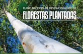 Plano Nacional de Desenvolvimento de Florestas Plantadas · aos investimentos em florestas plantadas, desde o segmento fornecedor de insumos até o consumidor final. ii. Setor de