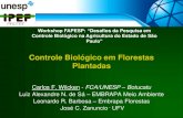 Controle Biológico em Florestas Plantadas · Controle Biológico em Florestas Plantadas Carlos F. Wilcken - FCA/UNESP –Botucatu Luiz Alexandre N. de Sá –EMBRAPA Meio Ambiente
