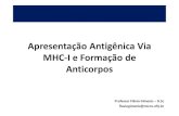 11- Apresentação Antigênica Via MHC-I e Formação de …flaviogimenis.com.br/wp-content/uploads/2018/12/11...Apresentação de antígenos associados ao MHC Os linfócitos T só