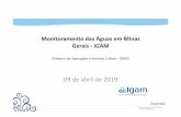 Monitoramento das Águas em Minas Gerais - IGAM · 2020. 3. 24. · Temática: 4. Avaliação crítica do Capítulo 4/Vol. II – Monitoramento das Águas. 2011. Plano Estadual de