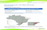I – SITUAÇÃO EPIDEMIOLÓGICAportalarquivos2.saude.gov.br/images/pdf/2019/junho/04/... · 2020. 3. 19. · 1 Monitoramento de Febre Amarela Brasil 2019 I – SITUAÇÃO EPIDEMIOLÓGICA